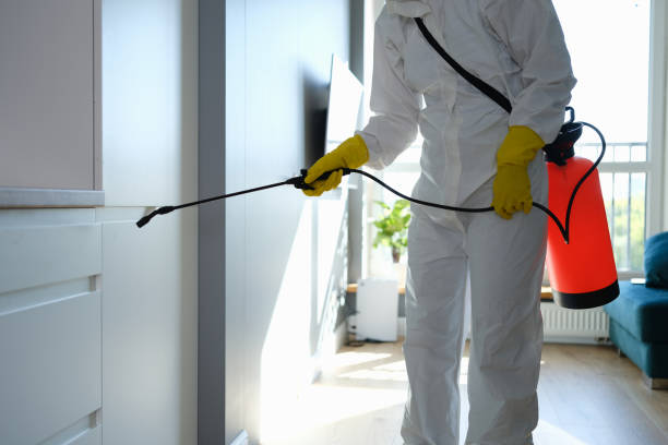 Best Mold Remediation Services  in Richwood, TX
