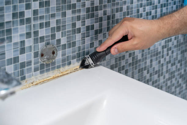Home Mold Removal in Richwood, TX