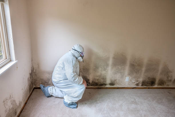Best Mold Testing  in Richwood, TX