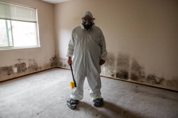 Best Crawl Space Mold Removal  in Richwood, TX